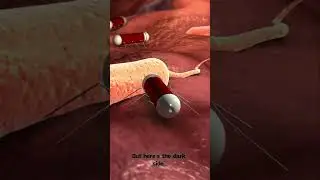 Nanobots Can Now Enter Your Brain 😳