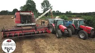 BEANS MEANS....END OF HARVEST 2021