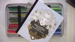 Adult coloring in Soulmates, Color and chat