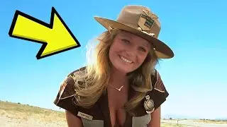 Los Locos del Cannonball (1981): 20 Curiosidades y Secretos Que No Sab&iacute;as