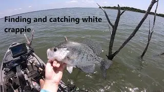 How to find and catch white crappie on a lake with both species! Slabs caught with these tips!