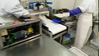 Squid Tube Processing 8   Kingsun Foods