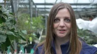 Feeding container grown plants - Burncoose Nurseries