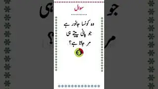Paheliyan in Urdu #shorts #youtubeshorts