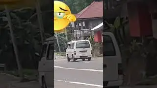 #DOG COMMIT SUICIDE