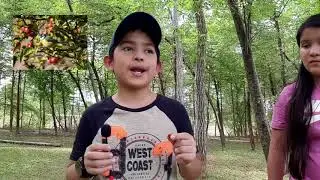 Plantas y Frutos de Tabasco / Comida Regional / Parcito de Aventureros/ Ca&iacute;da &Eacute;pica / Divertido