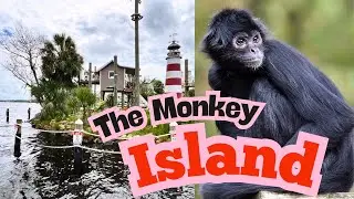 THE MONKEY ISLAND ADVENTURE