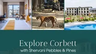 Shervani Pebbles & Pines Corbett Hotel & Resorts  Nainital Uttarakhand best Hotel Resort in Nainital