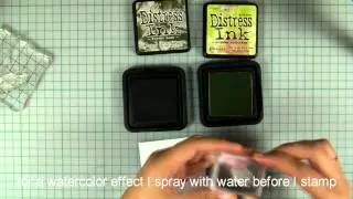 How-to video: Thank you