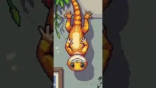 Gecko Toes: Nature's Sticky Superpower!