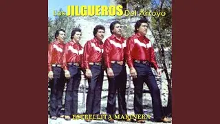 Se Llevo Mi Novia