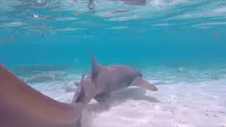 Bahamas 2022