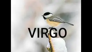 ♍VIRGO  A new friendship changes your Future.  JAN 26 - FEB 1  2026