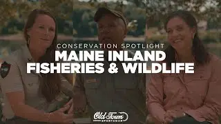 Maine Inland Fisheries & Wildlife | Conservation Spotlight