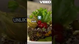 Top 5 High Quality Protein Sources!