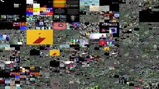 Viostarlton's Too Many Annoying Goose Quadparison 1