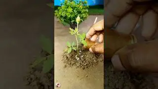 How to make a mini hand pump water project | Plant a tree