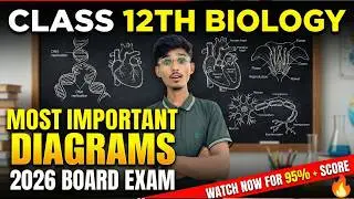 Class 12 Biology Most Important Diagrams | चित्र एवं आरेख | UP Board Exams 2026 | class 12th biology