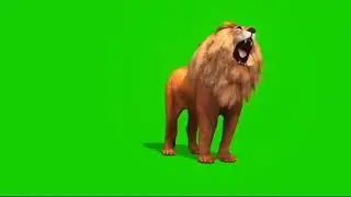 Lion King Green Screen