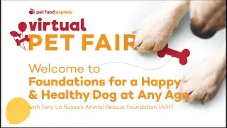 Pet Food Express Virtual Pet Fair - Foundations for a Happy and Healthy Dog at Any Age