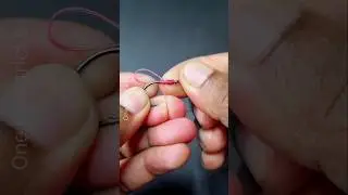 Fishing Hook Knot Technique #fishingknottying #tutorial #tips #hookknot #shorts