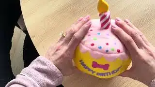 Fun dog toy that plays music too  AMAZON FIND!