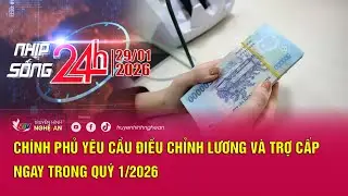Bản tin Nhịp sống 24h - 29/01/2026