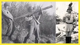 Top 5 Funniest Wartime Events of The 20th Century