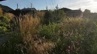 Sunset garden