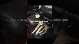 Hasta siempre, corre y salta como te gustava , se libre mi amigo....