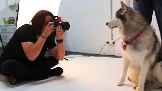 'Imperfect' Dogs Take Spotlight in New Photography Book