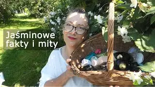 Jasmin - trudny zawodnik