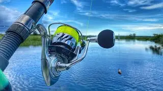 Cooper River Catfishing, ended live stream