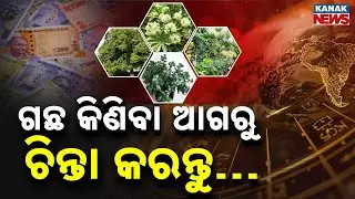 Special Report: Indoor Plants for Home | Vastu Tips, Zodiac Guide & Best Plants in India