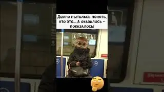 #yutubeshorts #yummy #funnyvideo #юмор #dontlaught #comedy #мем #дуэт #прикол #laugh #ржака #memes