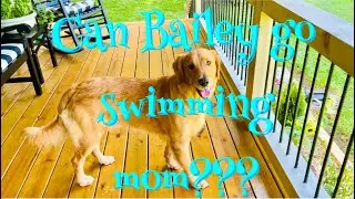 MY PUPPY WANNA GO SWIMMING