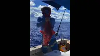 Deep bottom fishing 2020 #guam #guamfishing #deepbottom #fishing