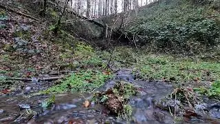 Acht beruhigende Naturszenen