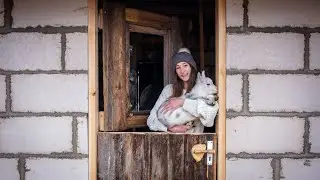 Dutch Door for Animal Stable