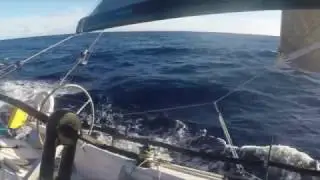 Team Maverick RORC Transatlantic race review 2016