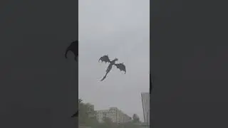 long leg elephant and a dragon