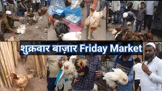 Friday Chicken Market Cheapest Price शुक्रवार चिकन बाजार सस्ते दाम