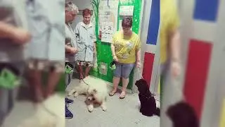 progetto EDUCANDOG Cani in Pediatria