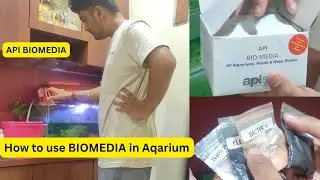 Mayur Dev Aquascaper |How I clean Aquarium and use API Bio Media & Water Care +| BIOMEDIA |
