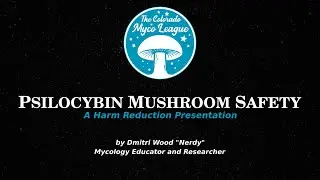 Mushroom Safety & Harm Reduction - Psilocybin Containing Mushrooms