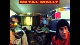 Metal Molly - Silver