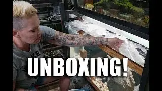 Getting my NEW fish in the MAIL! Unboxing and Acclimating