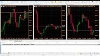 MAM ACCOUNT LIVE - ZB INVESTMENT GROUP, Limited Company