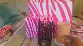 Shelly Vuongs Pink Zebra Independent Consultant Starter Kit Unboxing
