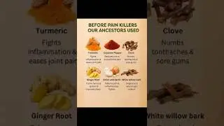 6 Ancestral Natural Remedies for Pain Relief 🌱✨#ytshorts #knowledge